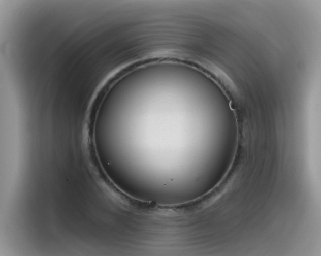 X0000115530880200911131503