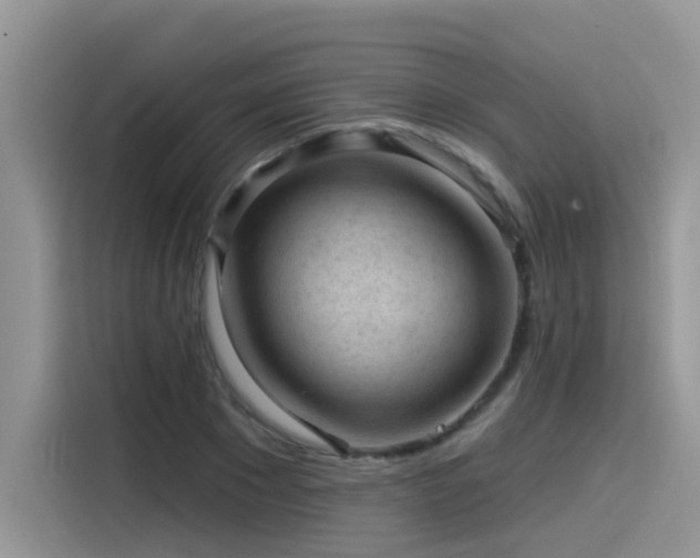 X0000115530881200911131503