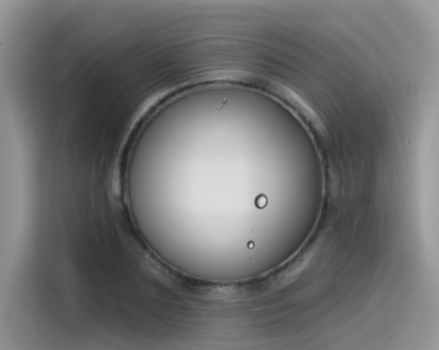 X0000115530883200911131503