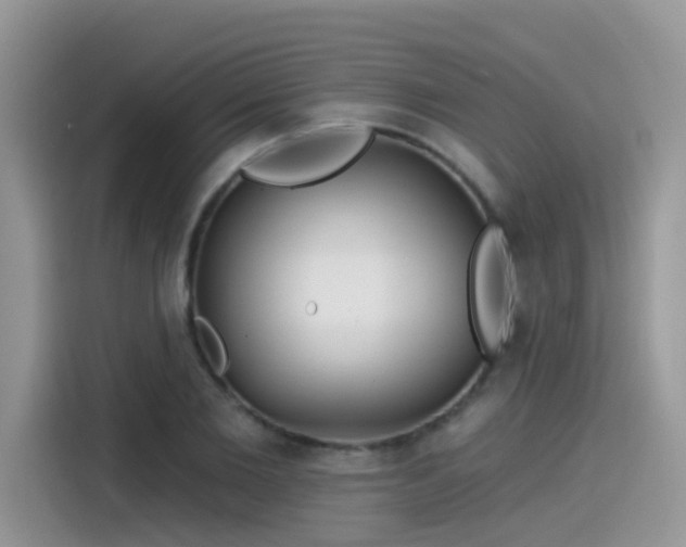 X0000115530885200911131503