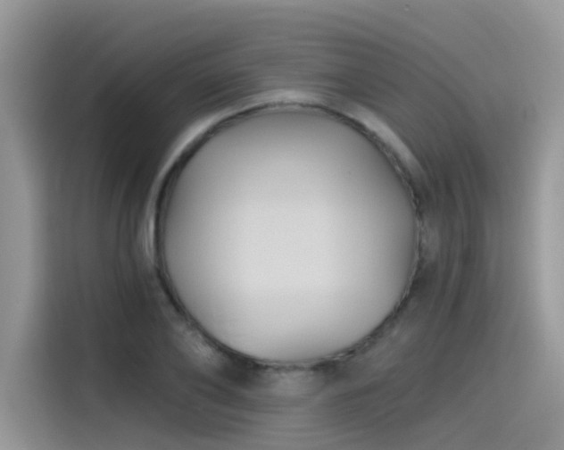 X0000115530886200911131503