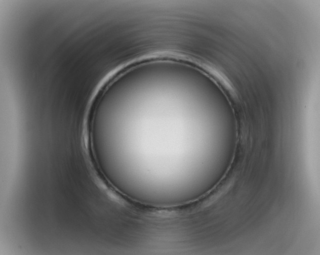 X0000115530888200911131503