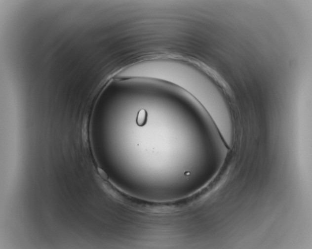 X0000115530889200911131503