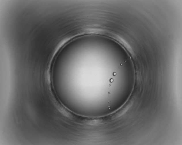 X0000115530891200911131503