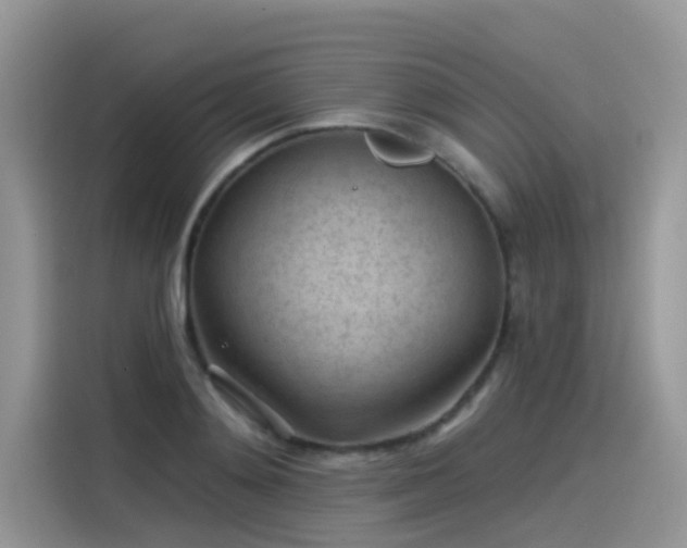 X0000115530892200911131503