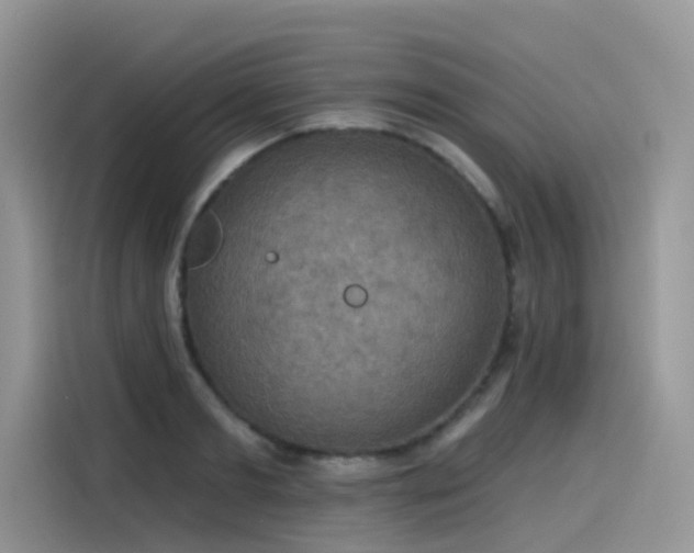 X0000115530893200911131503