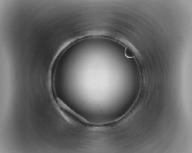 X0000115530894200911131503