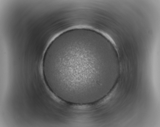 X0000115530895200911131503