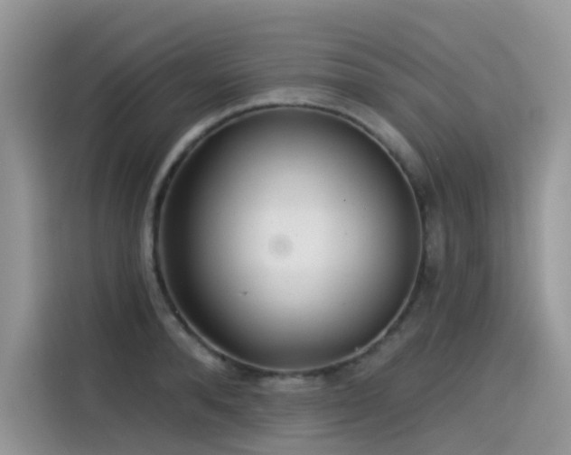 X0000115530896200911131503