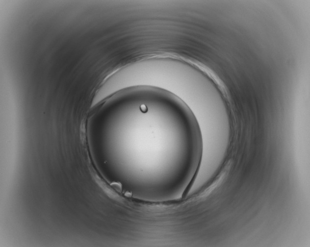 X0000115530897200911131503