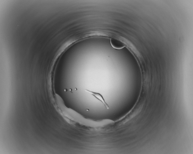 X0000115530898200911131503