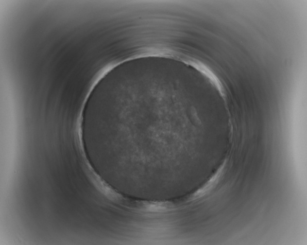 X0000115530899200911131503