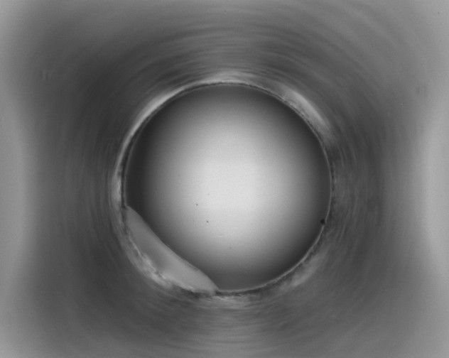 X0000115530900200911131503