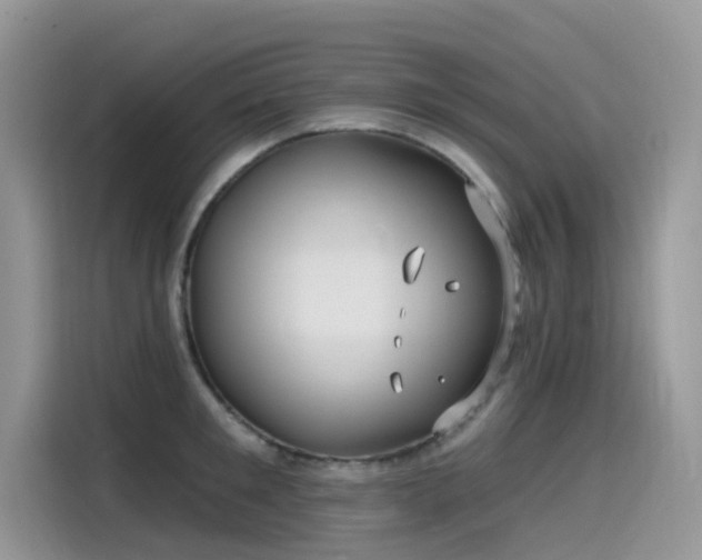 X0000115530901200911131503