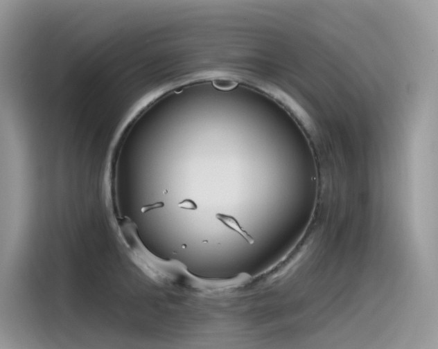 X0000115530902200911131503