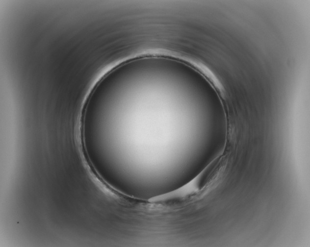 X0000115530903200911131503