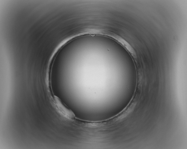 X0000115530904200911131503