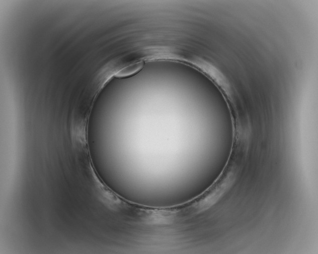 X0000115530905200911131503