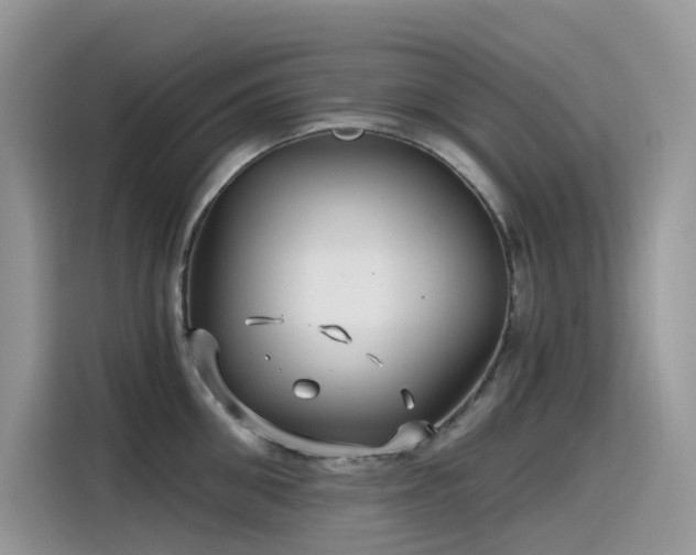 X0000115530906200911131503