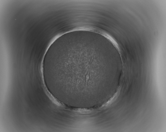 X0000115530907200911131503