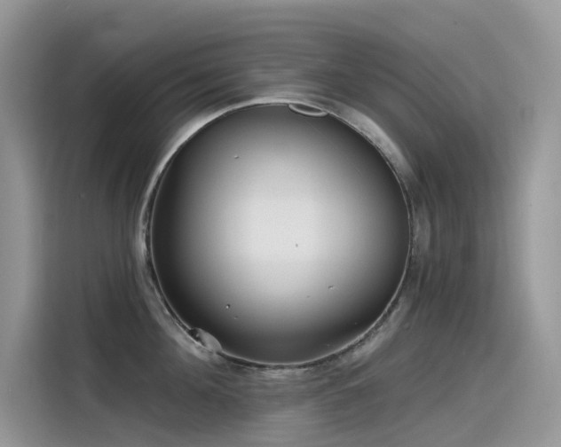 X0000115530908200911131503