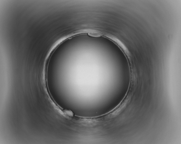 X0000115530910200911131503