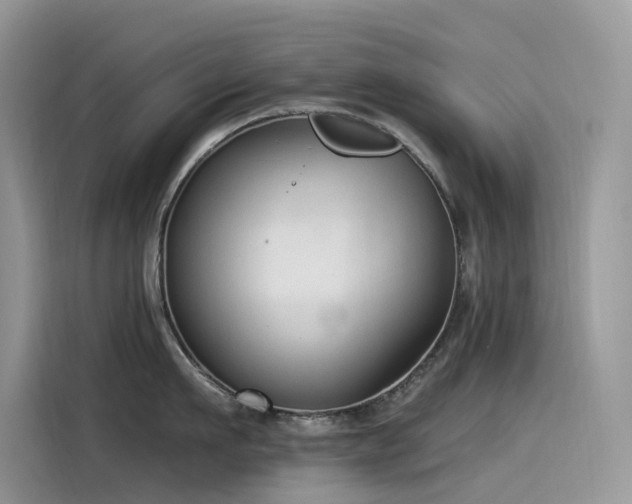 X0000115530911200911131503