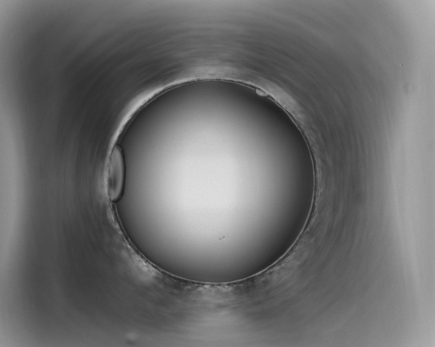 X0000115530912200911131503