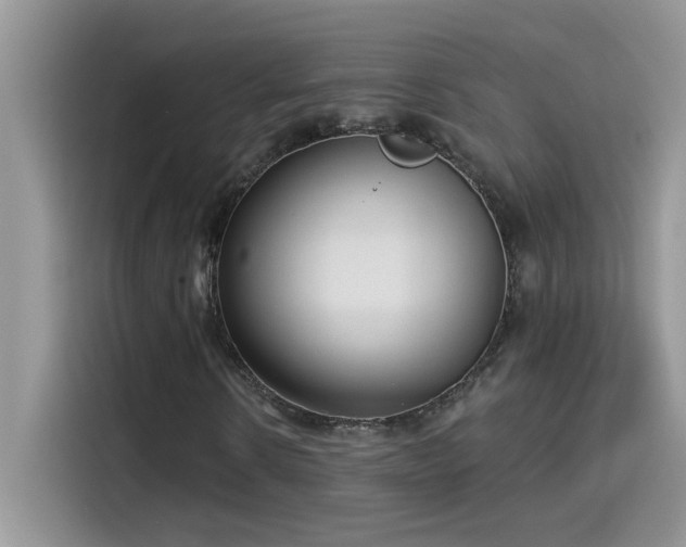 X0000115530914200911131502