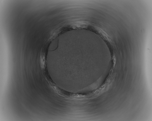 X0000115530915200911131502