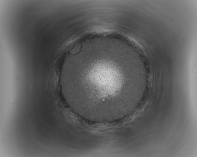 X0000115530917200911131502