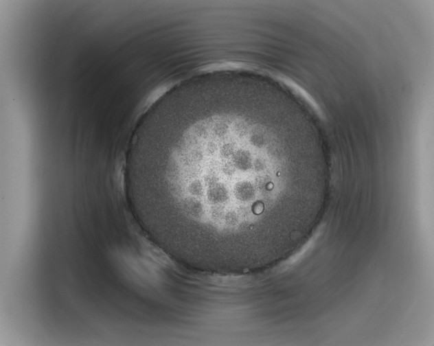 X0000115530921200911131502