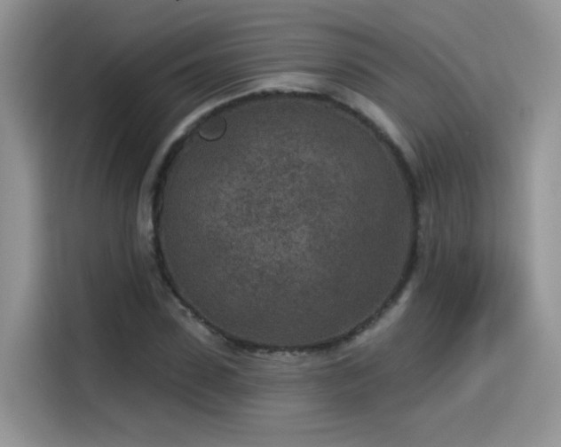 X0000115530923200911131502