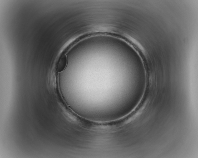 X0000115530925200911131502