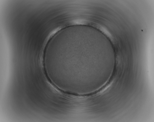 X0000115530930200911131502