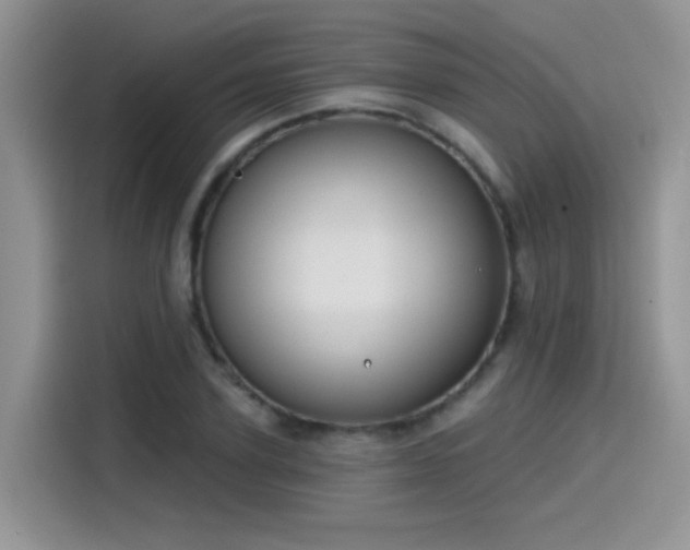 X0000115530931200911131502