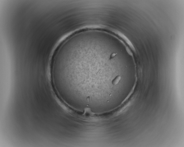 X0000115530935200911131502