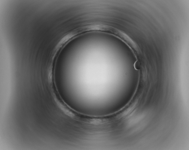 X0000115530938200911131502