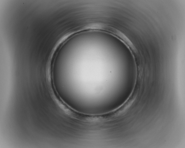 X0000115530939200911131502