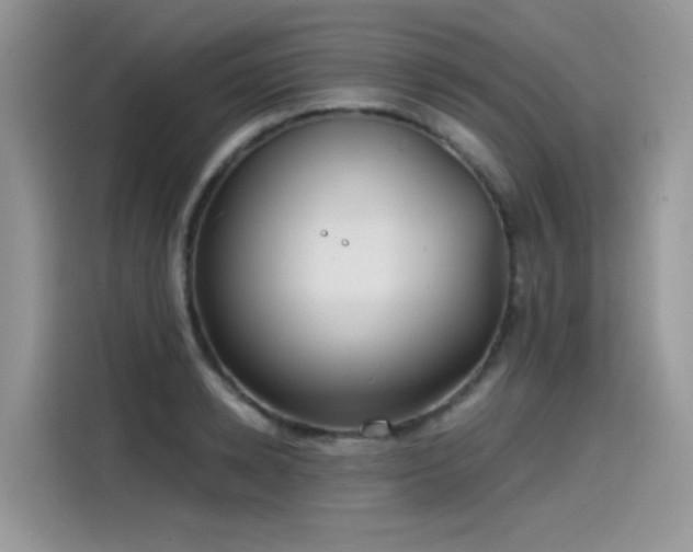 X0000115530942200911131502