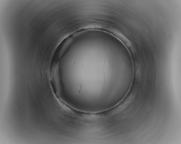 X0000115530945200911131502