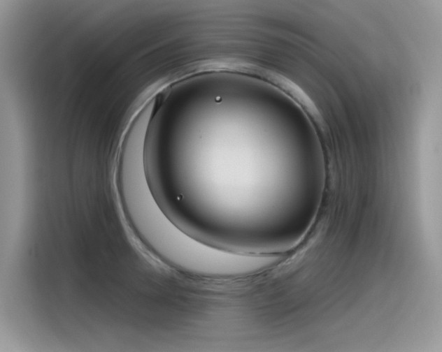 X0000115530946200911131502