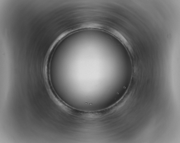 X0000115530947200911131502