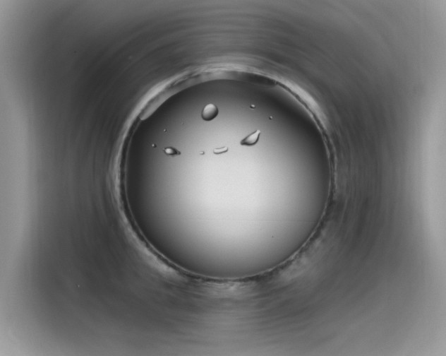 X0000115530949200911131503