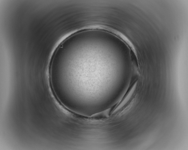 X0000115530951200911131503