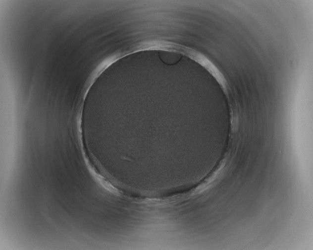 X0000115530954200911131503