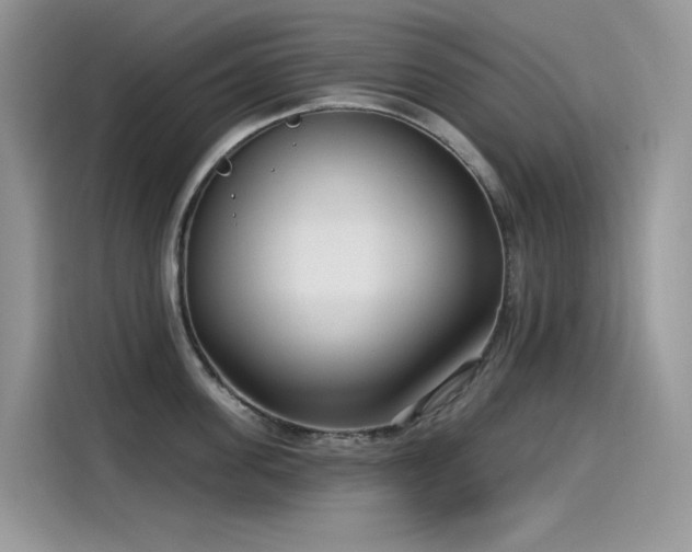 X0000115530955200911131503