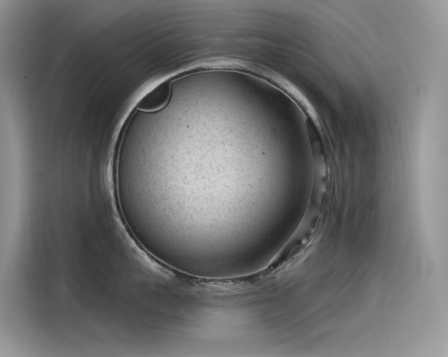 X0000115530959200911131503