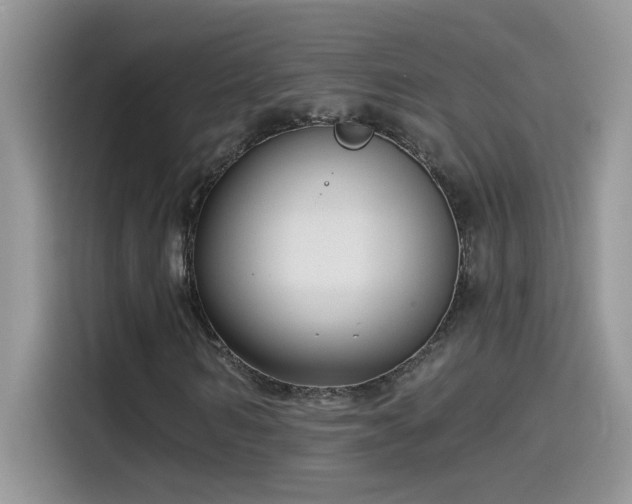 X0000115530962200911131502