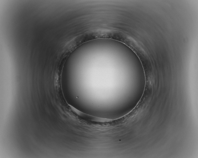 X0000115530964200911131502